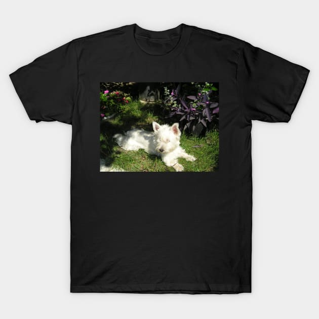 west highland white terrier laying T-Shirt by Wanderingangel